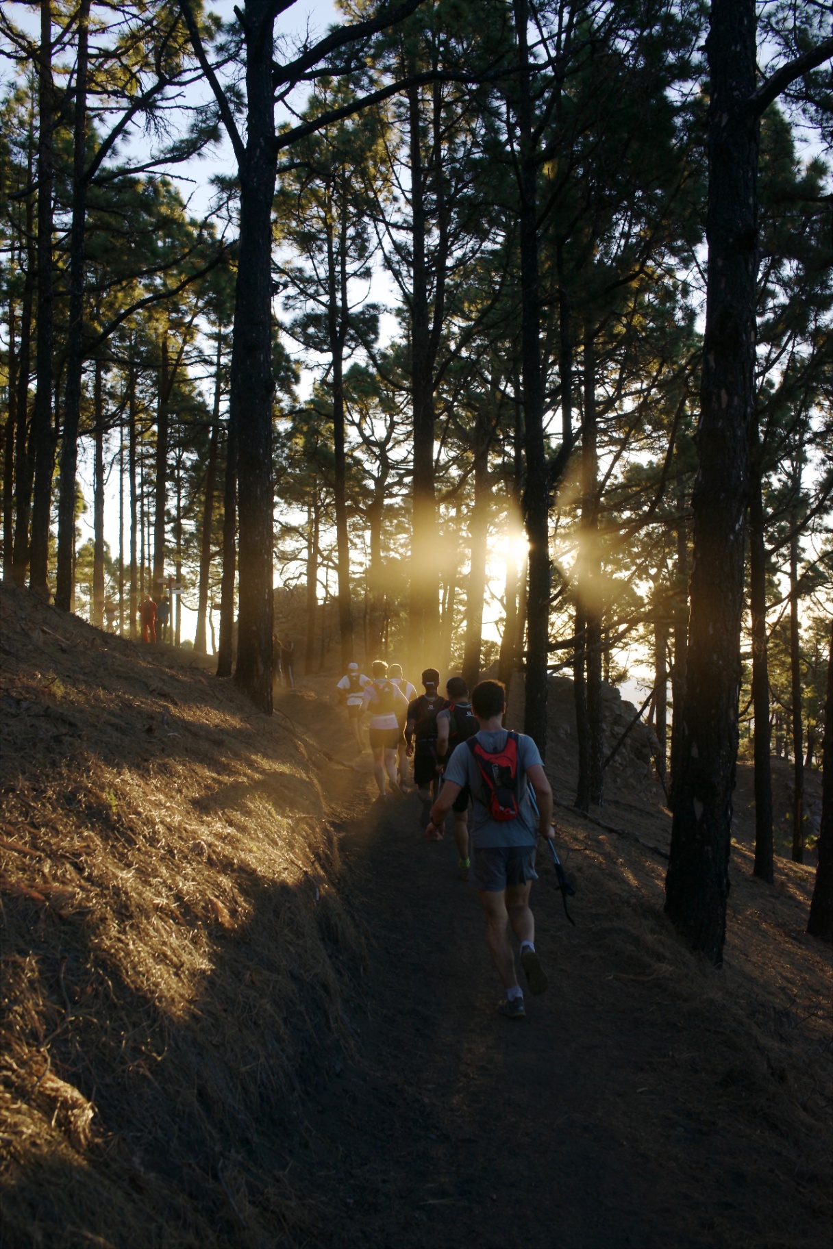 Runners on a Dorset trail at sunrise